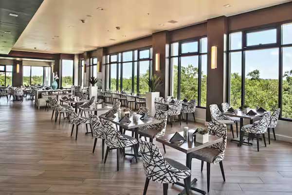 IGUANAS COCINA IGUANAS COCINA